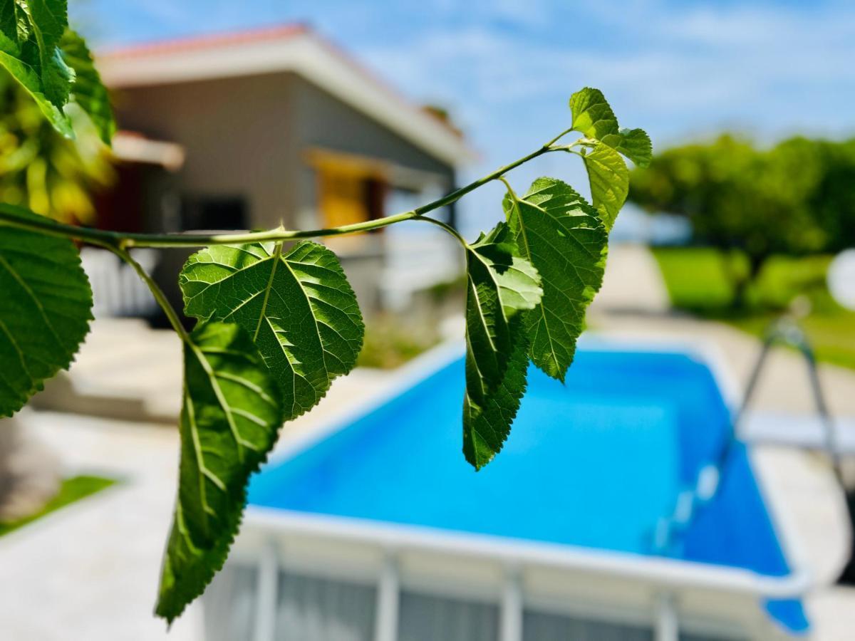 Gazonia Family Estate Otel Skala  Dış mekan fotoğraf